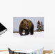 Captive Wall Mural