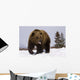 Captive Wall Mural