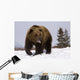 Captive Wall Mural