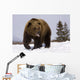 Captive Wall Mural