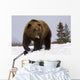 Captive Wall Mural