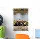 Captive Grizzly Bear Rests Its Head On A Log Wall Mural