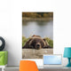 Captive Grizzly Bear Rests Its Head On A Log Wall Mural