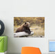 Captive Adult Brown Bear Rests On A Log Wall Mural