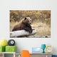 Captive Adult Brown Bear Rests On A Log Wall Mural