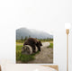 Captive Adult Brown Bear Rests On A Log Wall Mural