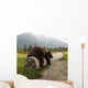 Captive Adult Brown Bear Rests On A Log Wall Mural