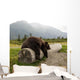 Captive Adult Brown Bear Rests On A Log Wall Mural