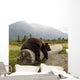 Captive Adult Brown Bear Rests On A Log Wall Mural