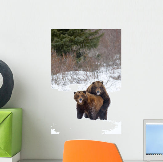 A Pair Of Brown Bears Assume A Mating Pose Wall Mural