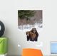 A Pair Of Brown Bears Assume A Mating Pose Wall Mural