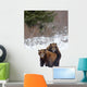 A Pair Of Brown Bears Assume A Mating Pose Wall Mural