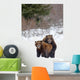 A Pair Of Brown Bears Assume A Mating Pose Wall Mural