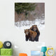 A Pair Of Brown Bears Assume A Mating Pose Wall Mural