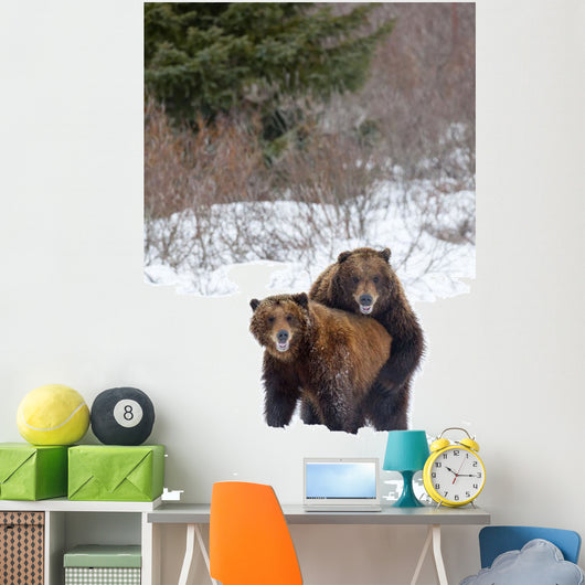 A Pair Of Brown Bears Assume A Mating Pose Wall Mural