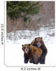 A Pair Of Brown Bears Assume A Mating Pose Wall Mural
