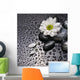 black stones and white flower Wall Mural