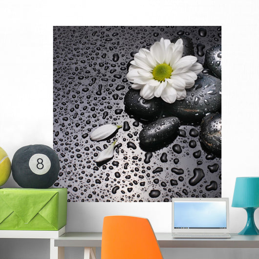 black stones and white flower Wall Mural