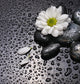black stones and white flower Wall Mural