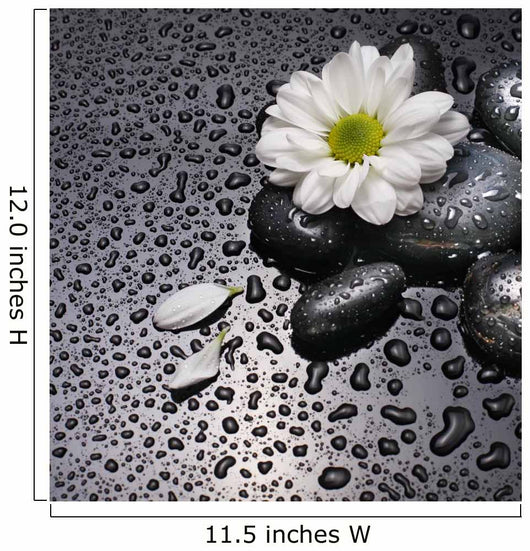 black stones and white flower Wall Mural