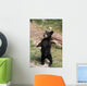 Young Black Bear Cub Wall Decal