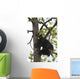 Captive Black Bear In A Cottonwood Tree Wall Mural