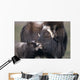Captive Adult Female Musk Ox With Calf Wall Mural