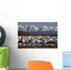 Flock Of Snow Geese Drinking From A Pond Wall Mural