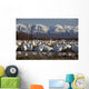 Flock Of Snow Geese Drinking From A Pond Wall Mural