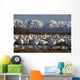 Flock Of Snow Geese Drinking From A Pond Wall Mural