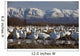 Flock Of Snow Geese Drinking From A Pond Wall Mural