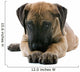 puppy of a great dane lying on the floor Wall Decal