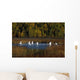 Trumpeter Swans In Flight Over Potter Marsh In Southcentral Wall Mural