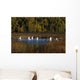 Trumpeter Swans In Flight Over Potter Marsh In Southcentral Wall Mural
