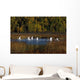 Trumpeter Swans In Flight Over Potter Marsh In Southcentral Wall Mural