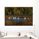 Trumpeter Swans In Flight Over Potter Marsh In Southcentral Wall Mural