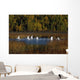 Trumpeter Swans In Flight Over Potter Marsh In Southcentral Wall Mural