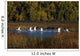 Trumpeter Swans In Flight Over Potter Marsh In Southcentral Wall Mural