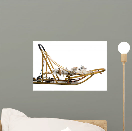 Group Siberian Husky Puppies Wall Decal Design 2