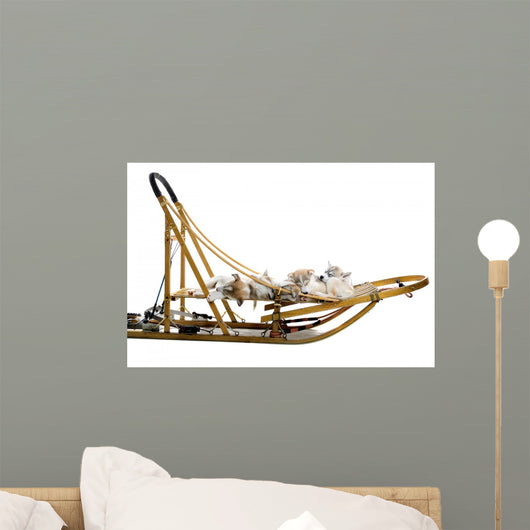 Group Siberian Husky Puppies Wall Decal Design 2
