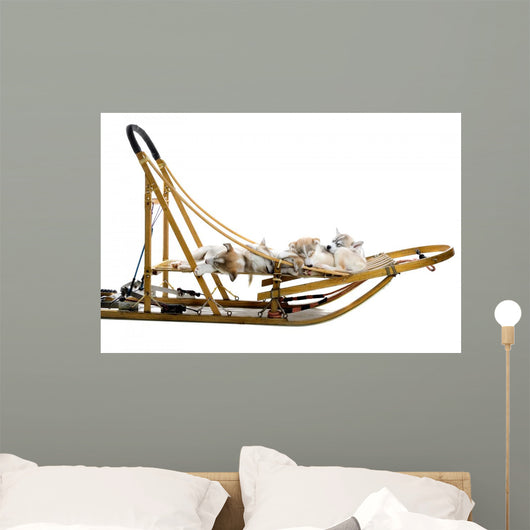 Group Siberian Husky Puppies Wall Decal Design 2
