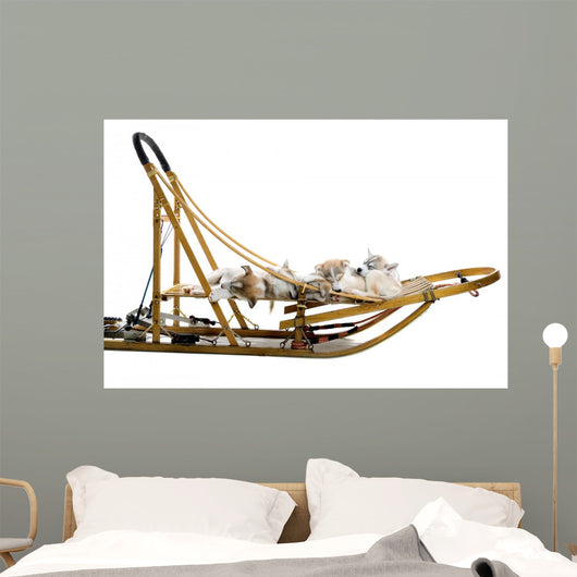Group Siberian Husky Puppies Wall Decal Design 2