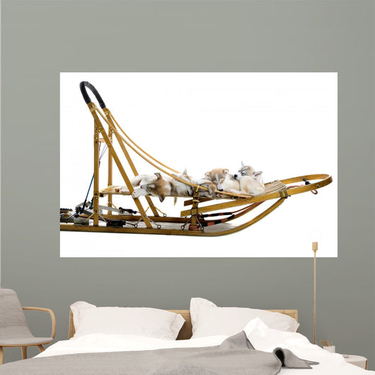 Group Siberian Husky Puppies Wall Decal Design 2