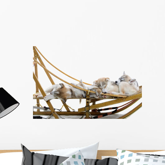 Group Siberian Husky Puppies Wall Decal Design 1