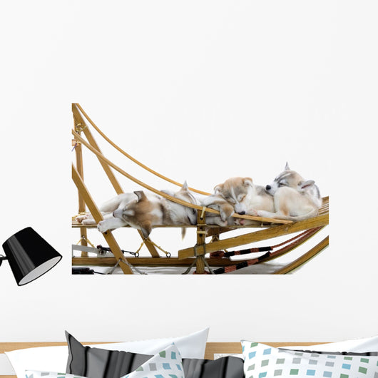 Group Siberian Husky Puppies Wall Decal Design 1