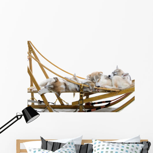 Group Siberian Husky Puppies Wall Decal Design 1
