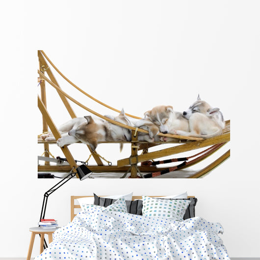 Group Siberian Husky Puppies Wall Decal Design 1