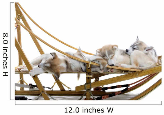 Group Siberian Husky Puppies Wall Decal Design 1