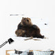 A Pair Of Adult Brown Bears Wrestle Playfully In Snow Wall Mural