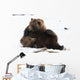 A Pair Of Adult Brown Bears Wrestle Playfully In Snow Wall Mural